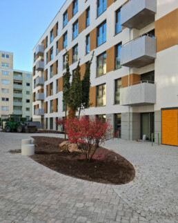 Kameruner Straße wohnhof berlin wedding st raum a landschaftsarchitekten blumers architekten baustelle organische formsprache pflanzinseln